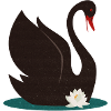Schwan