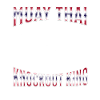 Muay Thai Boxing Muay Thai