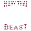 Muay Thai Boxing Muay Thai
