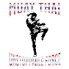Muay Thai Boxing Muay Thai