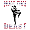 Muay Thai Boxing Muay Thai