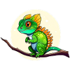Cute little lizard