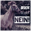 Spirit Motto Nein