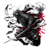 Guerrier samouraï ninja japonais