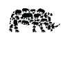 Rhinoceros Wildlife Africa Rhinoceros Silhouette