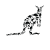 Kangourou Wildlife Australie Kangourou Silhouette