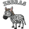Zebra Pop Art Cartoon on Black