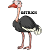 Cartoon Ostrich: Bold Black-White Feathers