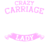 Calèche Lady Cocher