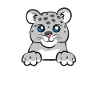 Snow leopard