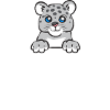 Snow leopard