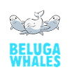 White Whale Beluga Whale