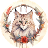 Norsk skovkat Boho-stil, elsker katte