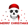 Merry Christmas skull