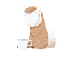 Café d’alpaga