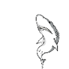 Große Fische