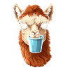 Alpaca Coffee