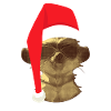 Noël Drôle Noël Suricate