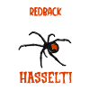 Redback Spider