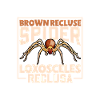 Araignée recluse brune