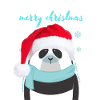 panda ice