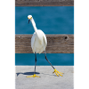 Snowy egret