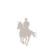 Western Reiten Mann