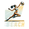 Beach Volleyball