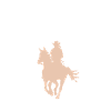 Femme d’équitation western