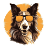 Collie