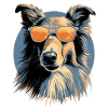 Collie 2