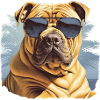 Chinese Shar Pei
