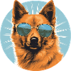 Finnish Spitz 2