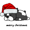 merry christmas dog