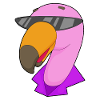 Flamingo Sunglasses