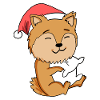 Pomeranian Dog Animal Christmas