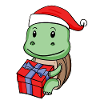 Turtle with Christmas hat