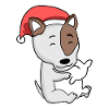 Bullterrier Hund Tier Weihnachten