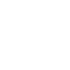 Bruder 2001