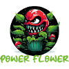 Plante à fleurs de puissance