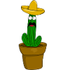 Cactus mexicain