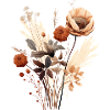 Dried Flower