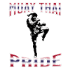 Muay Thai Boxing Muay Thai