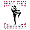 Muay Thaï Boxe Muay Thaï