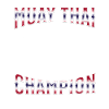 Muay Thai Boxing Muay Thai