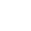 Indonesia 2024 Heart