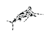 Sailfish Fishing Sailfishes Silhouette