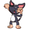 Yawning Chihuahua