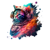 Cat Astronaut