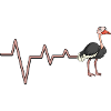 Ostrich Heartbeat Graphic